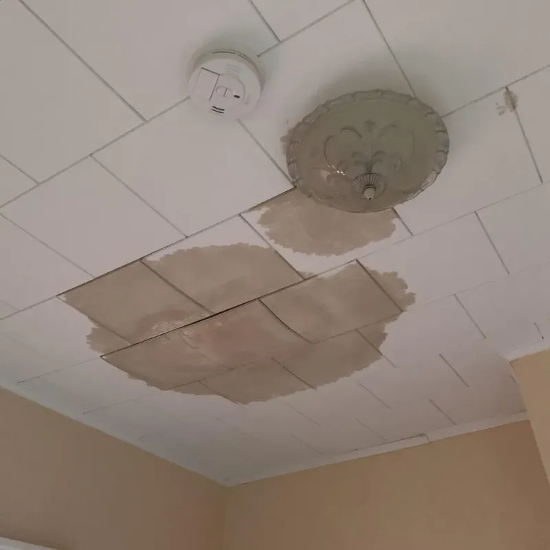 Ceiling Water Damage Repair in Crystal Springs, MS