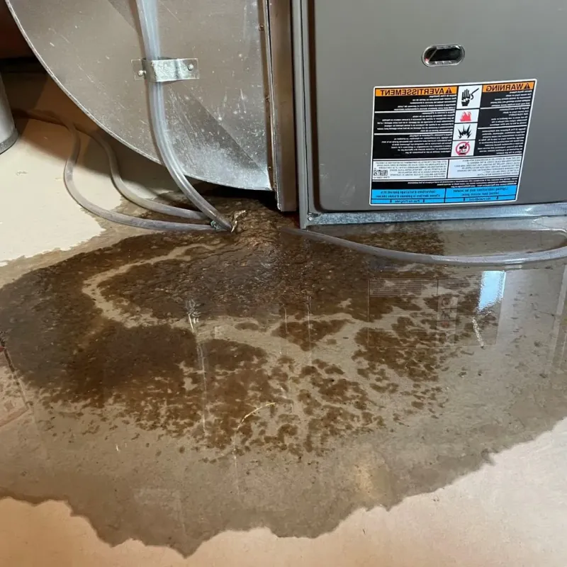 Pipe Burst and Leak Restoration in Crystal Springs, MS
