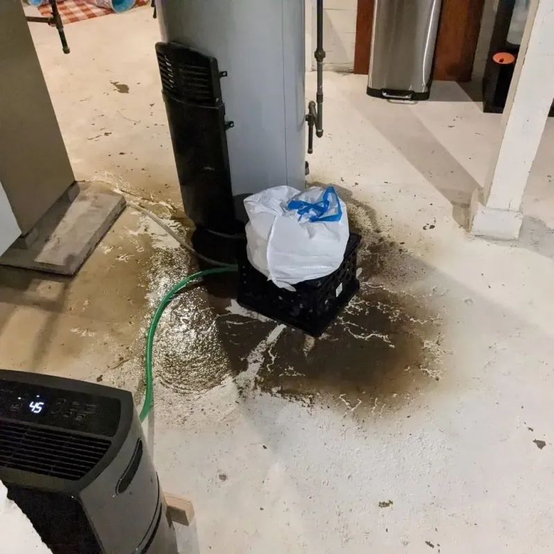 Sewage Backup Cleanup Service in Crystal Springs, MS